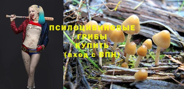 амф Алексеевка
