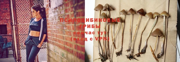 амф Алексеевка